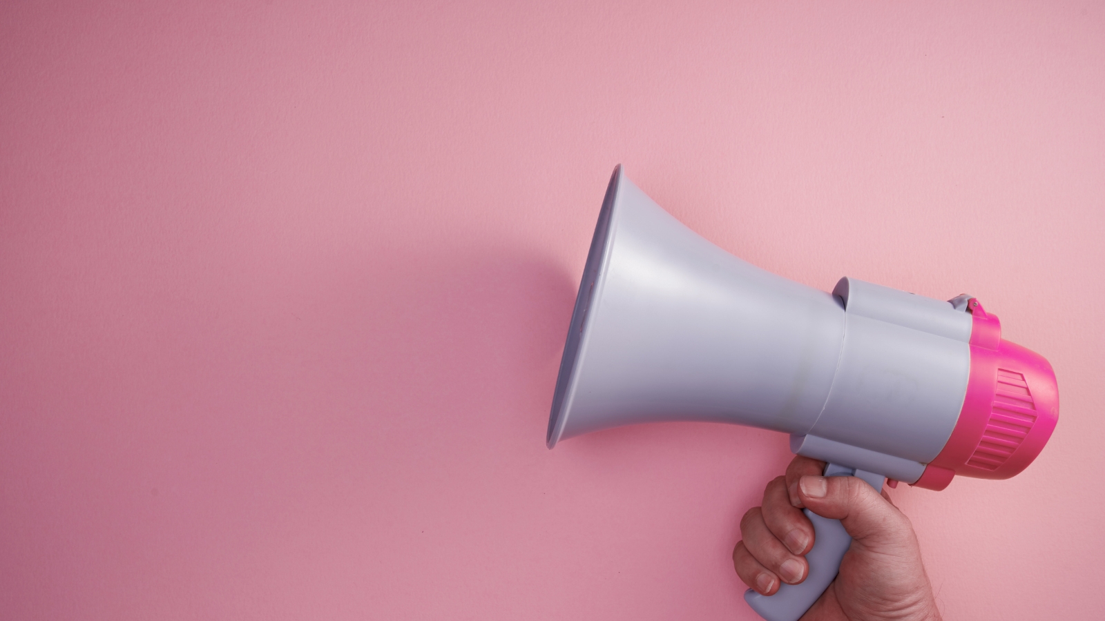 Franziska Schüttelbauer Banner Lebenslauf