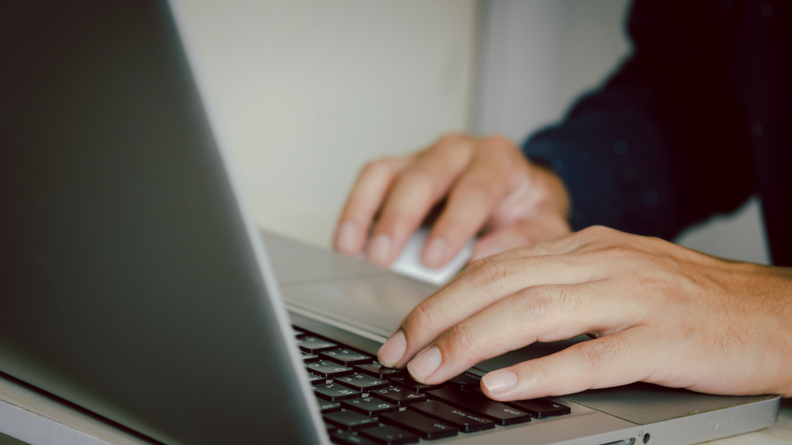 Franziska Schüttelbauer Berufserfahrung SEA